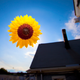 Image for article titled Shooting Challenge: Solstice